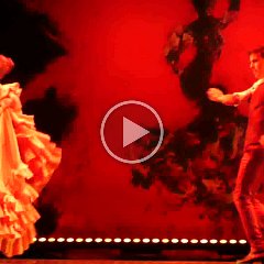 MSC_Flamenco